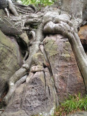 4-ESS2-1 — The Wonder of Science Biological Weathering, Photographer Flyers, Chemical Weathering, Science Literacy, Sussex England, The Arch, Best Picture, East Sussex, Rock Formations