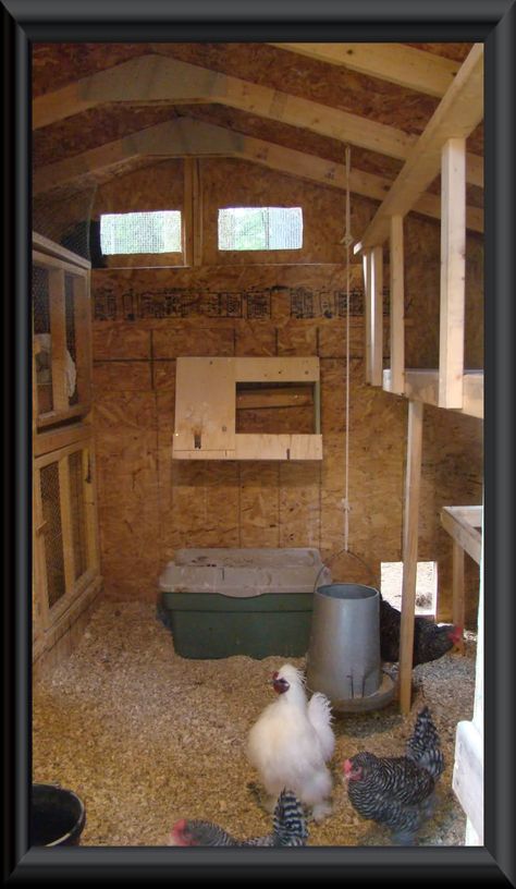 Click this image to show the full-size version. Barn Chicken Coop, Chicken Coop Large, Chicken Coop Kit, Gambrel Barn, Chicken Poop, Rabbit House, Portable Chicken Coop, Chicken Chick, Rabbit Hutch