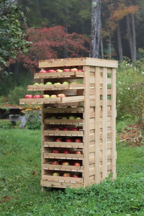 DIY Apple Storage Rack Apple Storage, How To Store Apples, Storing Food Long Term, Yard Storage, Farmhouse Table Plans, Fruit Diy, Diy Apple, Root Cellar, Reading Diy