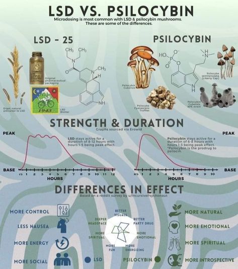 Psychoactive Plants, Psilocybin Mushrooms, Growing Mushrooms At Home, Mushroom Cultivation, Chemistry Lessons, Magic Herbs, Herbal Magic, Herbs For Health, Puff And Pass