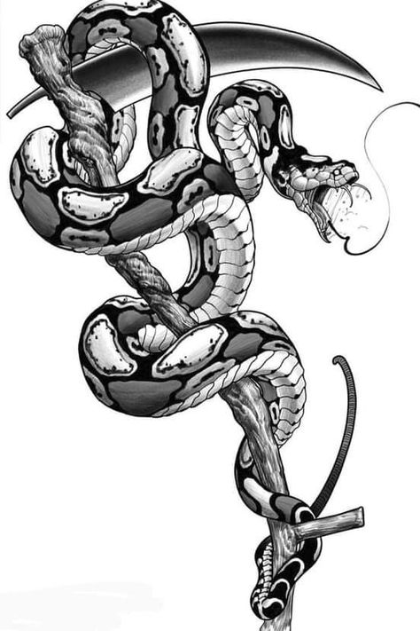 Snake Sketch, Cobra Tattoo, Tier Tattoo, Snake Drawing, Snake Tattoo Design, Sketch Tattoo Design, Snake Art, White Drawing, Tattoo Art Drawings