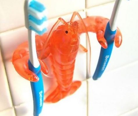 Top 10 Crazy and Unusual Toothbrush Holders Dentistry Student, Crustaceans, Holder Design, Dream House Decor, Home Gadgets, Toothbrush Holder, Cool Gadgets, Granada, Kitsch