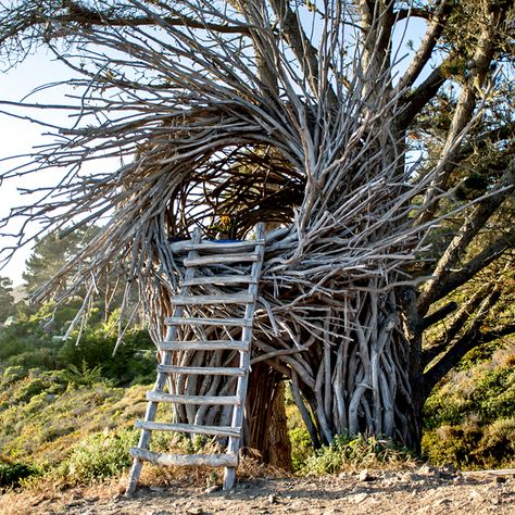 Building A Yurt, Yurt Home, Survival Life, Design Exterior, Gothic Architecture, Land Art, Environmental Art, Ny Times, The New York Times