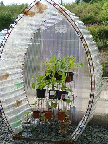 Serre Diy, Reuse Plastic Bottles, How To Recycle, Build A Greenhouse, نباتات منزلية, Recycled Garden, Bottle Garden, Diy Greenhouse, Stovetop Potpourri