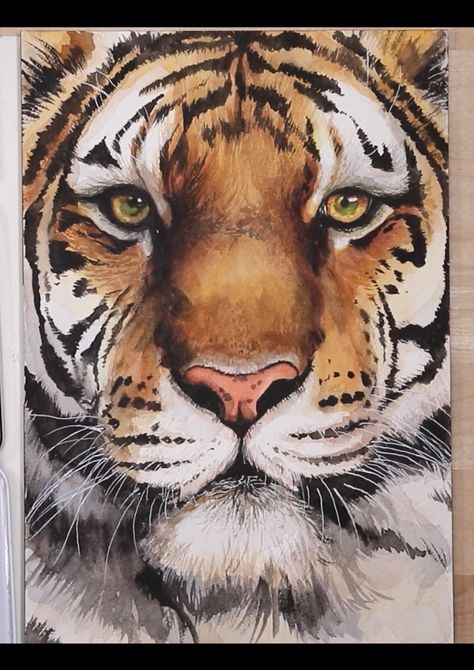 Face Watercolor Painting, Colorful Horse Painting, Face Watercolor, Face Oil Painting, Watercolor Tiger, Transparent Watercolor, Tiger Drawing, Tiger Painting, Tiger Pictures