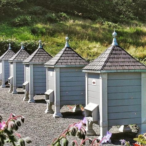 Bee House #garden #love #spring #bee #housing #landscape #folly #love #posh #hive #inspo #sunshine #flowers #honey #happytuesday … Housing Landscape, Bee Hives Boxes, Sunshine Flowers, Bee Hive Plans, Bee Houses, Bee Hotel, Farm Plans, Bee House, Bee Skep