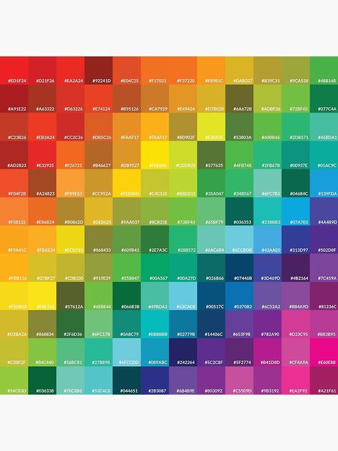 All Colors, Rainbow Hex Codes, 4 Color Combinations, Rainbow Colour Palette, Bright Rainbow Color Palette, Rainbow Color Palette Hex Codes, Color Codes, Rainbow Color Palette, Bright Color Palette With Hex Codes