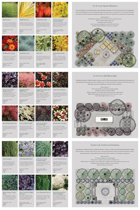 landscape design plans and colorful plant choices