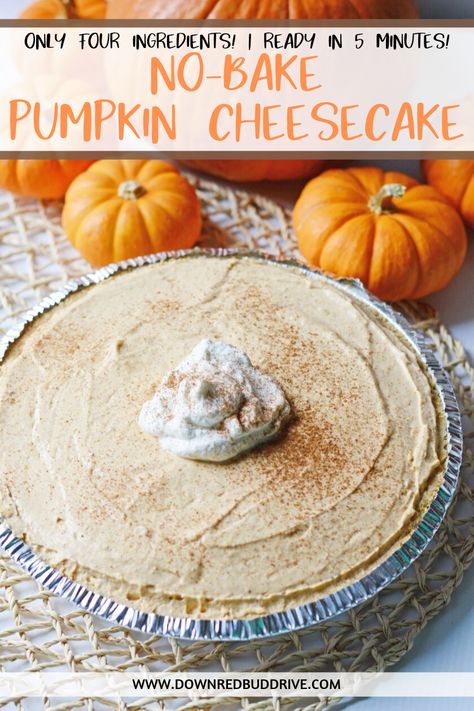 Dessert Crafts, Best Pumpkin Cheesecake Recipe, Pumpkin Pie Cheesecake Recipe, Best No Bake Cookies, Cheesecake Pumpkin, Easiest Dessert, No Bake Pumpkin, Fast Desserts, Bake Pumpkin