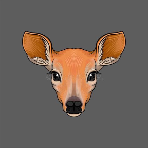 Deer Face Drawing Easy, Roe Deer Illustration, Mouse Deer Drawing, How To Draw A Deer Head, Roe Deer Tattoo, Roe Deer Drawing, Deer Face Drawing, Deer Outline, Deer Portrait