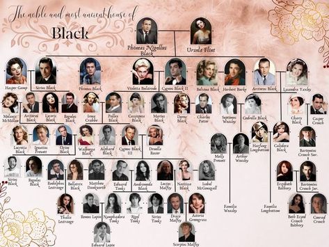 Noble House Of Black Family Tree, Black Family Tree Harry Potter, Family Tree Harry Potter, House Of Black Family Tree, The Black Family Harry Potter, The Black Family Tree, Potter Family Tree, Harry Potter Shifting, The Noble House Of Black