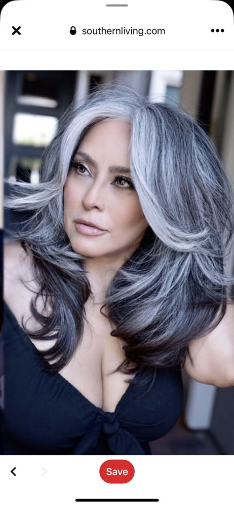 The Butterfly Haircut, Silver Fox Hair, Black And Grey Hair, Grey Ombre Hair, Hairstyle Braids, Butterfly Haircut, Grey Hair Transformation, Buy Wigs, Short Silver Hair