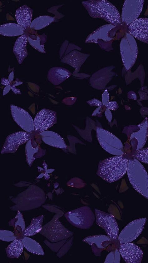 Glitter Flower Wallpaper, Purple Vibe Wallpaper, Wallpaper Peace, Black And Purple Wallpaper, Rising Moon, Dark Purple Flowers, Dark Purple Wallpaper, Purple Flowers Wallpaper, Dark Purple Aesthetic