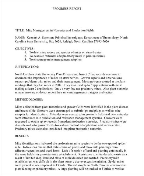 Research Project Progress Report Template (6) - TEMPLATES EXAMPLE | TEMPLATES EXAMPLE Report Format, Line Graph, Project Status Report, Progress Report Template, Report Card Template, Bar Graph, Incident Report, Sales Letter, Technical Writing