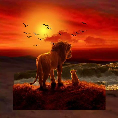 Car Part Art, Lion King Pictures, Lion King Movie, Jon Favreau, Spirit Animal Art, Silhouette Painting, Green Screen Video Backgrounds, Cute Wild Animals, Beautiful Photos Of Nature