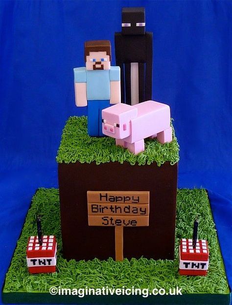 Minecraft Themed Cake | Minecraft Themed Birthday Cakes: 21st Birthday Black And White, Minion Wedding Cake, Happy Birthday Steve, Teenager Party, Minecraft Pig, Minecraft Birthday Cake, Christmas Wedding Cakes, Minecraft Birthday Party, Minecraft Cake