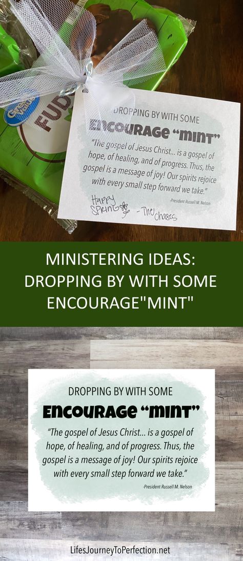 Free Ministering Printables, January Ministering Ideas 2024, Ministering Handouts Printable, March Ministering Ideas, August Ministering Ideas, Ministering Sister Ideas 2023, Relief Society Ministering Ideas, Easter Ministering Ideas Lds, Ministering Interview Ideas