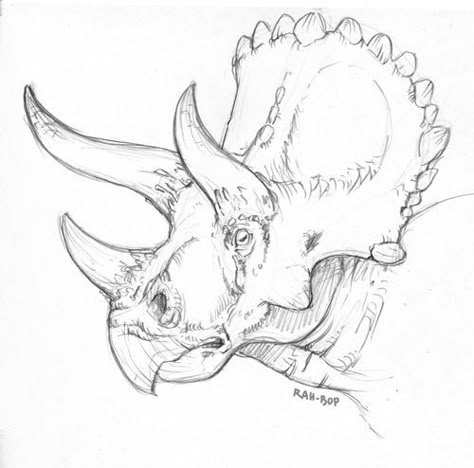 Triceratops Sketch, Drawing Dinosaurs, Dinosaur Drawings, Dino Drawing, Dinosaur Triceratops, Dinosaur Stuff, Dinosaur Sketch, Dinosaur Tattoos, Dino Art