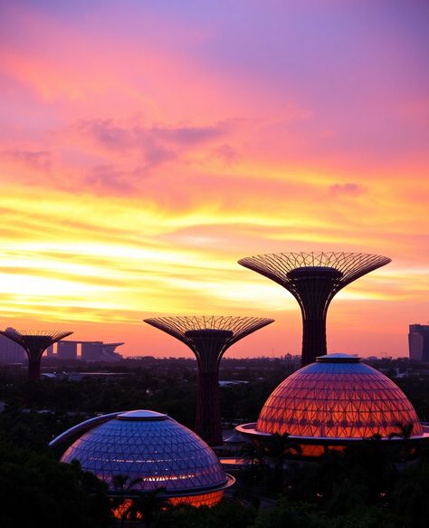 15 Beautiful Places in Singapore You Should Go to for the Best Instagram Photo! Unique Backdrops, Places In Singapore, Snap Photos, Best Instagram Photos, Gardens By The Bay, Iconic Landmarks, Marina Bay, Marina Bay Sands, Hidden Gems