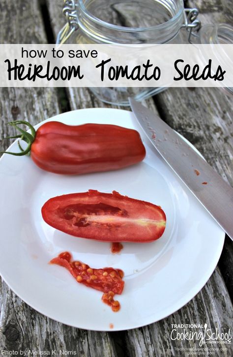 How To Save Seeds, Saving Seeds, Heirloom Tomato Seeds, Traditional Cooking, Homestead Gardens, Heirloom Tomato, Seed Saving, Tomato Seeds, Growing Tomatoes