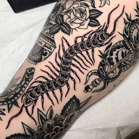 Centipede Trad Tattoo, Tooth Centipede Tattoo, Old School Centipede Tattoo, Centipede American Traditional Tattoo, Traditional Millipede Tattoo, Tarantula Traditional Tattoo, Trad Centipede Tattoo, Blackwork Filler Tattoo, Heart Centipede Tattoo