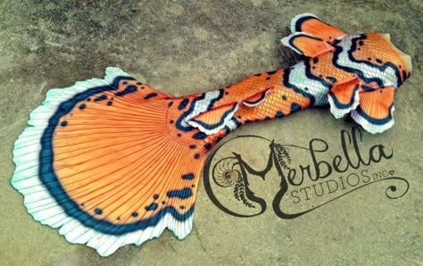 Round fluke clown fish mermaid tail with dorsal fins Finfolk Mermaid Tails, Merbella Studios, Mermaid Tail Ideas, Merman Tails, Realistic Mermaid Tails, Mermaid Tail Costume, Fish Mermaid, Mermaid Things, Mermaid Swim Tail