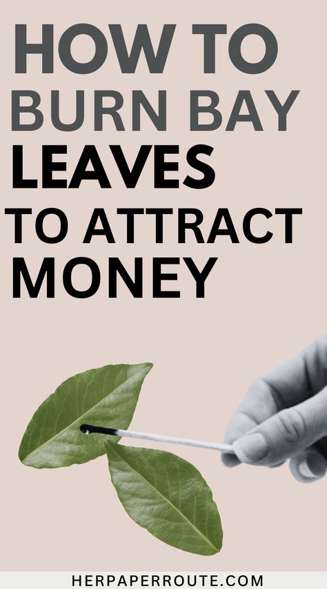 So, do bay leaves attract money? The answer is YES. If you believe in the Law of Attraction, bay leaves do attract money.While there is no scientific evidence to support these claims, many people continue to use bay leaves as a way of manifesting their financial goals. Continue reading to find out how to burn bay leaf for money in 5 steps. Bay Leaves Uses, Bay Leaf Benefits, Burn Bay Leaves, Money Candle Spell, Burning Bay Leaves, Money Prayer, Money Spells That Work, Attract Abundance, Laurel Leaves