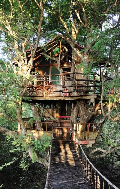 Moon to Moon: Awesome Tree Houses.... Adult Tree House, Tree Homes, Tree House Ideas, Treehouse Ideas, Beautiful Tree Houses, Treehouse Hotel, Tree House Plans, Tree House Diy, Tree House Kids