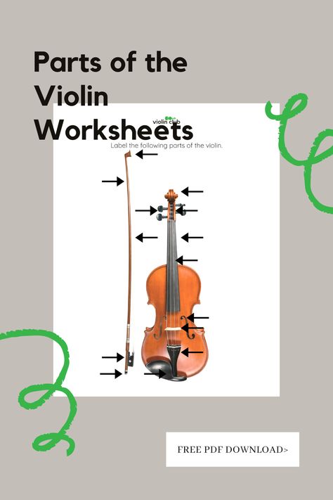 Parts Of The Violin Worksheet, Parts Of The Violin, Violin Parts, Learn Violin, Violin Lessons, Flashcards For Kids, The Violin, Study Set, Online Student