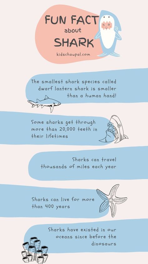 Shark Diagram Aesthetic, Fun Facts About Sea Animals, Fun Facts Animals, Shark Hyperfixation, Lemon Shark Facts, Sea Animal Facts, Marine Biology Facts, Facts About Sea Animals, Shark Fun Facts