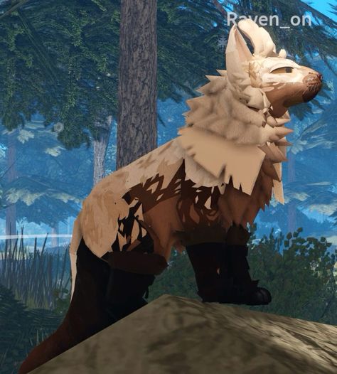 Warrior Cats Roblox Morphs Ideas, Wcue Morphs Idea, Warrior Cat Morph Ideas, Warrior Cats Ideas, Warrior Cats Roblox Morphs, Wcue Morph Ideas For Free, Warrior Cats Morph Ideas, Warrior Cats Oc Ideas, Wcue Morph Ideas