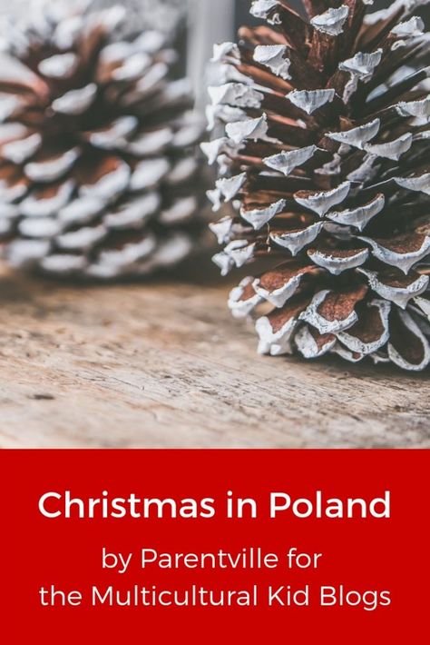 Poland Christmas Traditions, Polish Christmas Decorations, Poland Traditions, Christmas In Poland, Polish Christmas Traditions, Polish Traditional Costume, Christmas Traditions Kids, Poland Christmas, Camp Themes