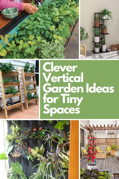 Transform your small space into a lush, green haven with these 13 smart vertical garden ideas! From wall-mounted planters to tiered shelves and trellis gardens, these creative solutions let you grow herbs, veggies, or flowers even in the coziest corners. Perfect for apartments, balconies, or tiny backyards, these ideas are as practical as they are beautiful. Dive into the blog post for tips to make your small space bloom! Outdoor Wall Garden Ideas, Small Space Gardening Ideas, Garden Ideas For Small Spaces, Hanging Garden Ideas, Vertical Garden Systems, Vertical Garden Wall Planter, Vertikal Garden, Tiered Shelves, Vertical Garden Ideas