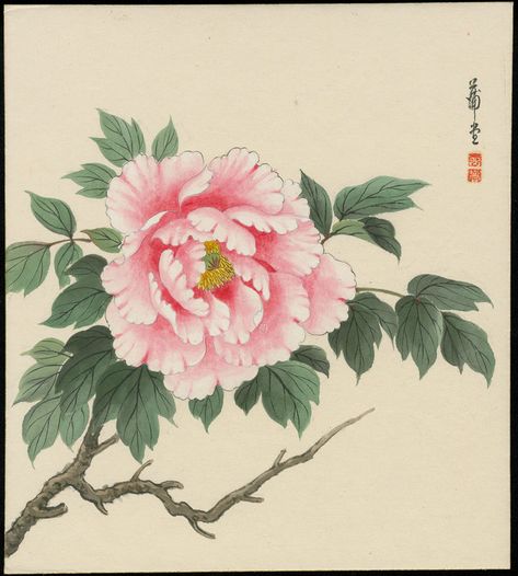 Japanese Flower Tattoo, Flower References, Korean Painting, Peony Painting, Japanese Art Prints, Japanese Artwork, Traditional Japanese Art, Watercolor Painting Techniques, Eastern Art