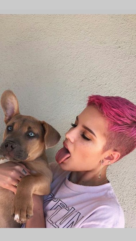 Halsey Hair, Shaved Pixie, Buzzed Hair, Stacked Bob Haircut, Short Hair Undercut, Super Short Hair, Punk Hair, Shot Hair Styles, Very Short Hair