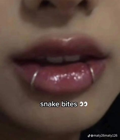 Spider Piercing Lip, Hoop Snake Bites, Angle Bites Piercings, One Snake Bite Piercing, Spider Bites Piercing Aesthetic, Snake Bite Rings, Snakebite Piercing Men, Lip Peircings Middle, Snack Bites Piercing