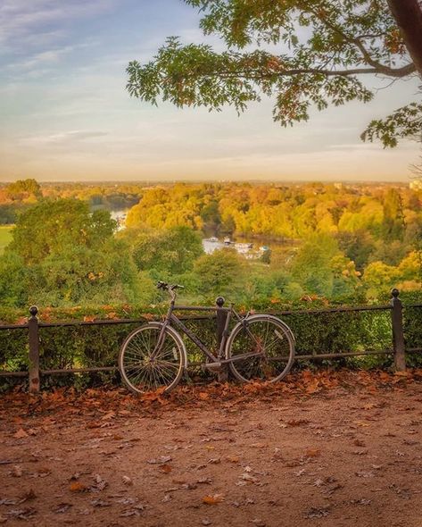 Richmond Hill Richmond Hill, Mood Board, Country Roads, London, Road, Pins