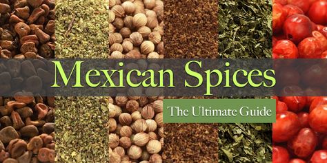 The Ultimate Guide to Mexican Spices - SpicesInc.com Mexican Spices Blend, Taco Spice Blend, Diy Seasonings, Taco Spice, List Of Spices, Traditional Mexican Food, Mexican Seasoning, Mexican Kitchen, Spice Blends Recipes