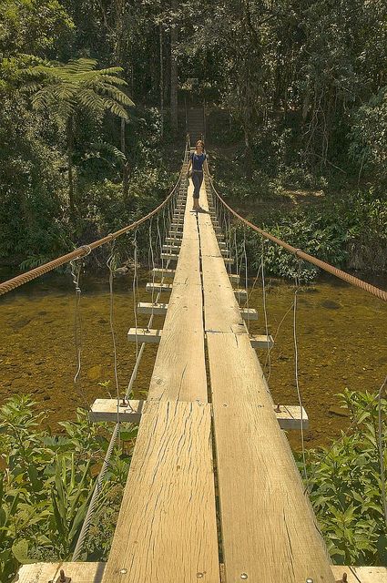 Foot Bridge - Marimba, Brazil Love Bridge, Bridge Over Troubled Water, Brazil Travel, Pedestrian Bridge, Covered Bridges, Dream Destinations, In The Woods, St Petersburg, Beautiful World