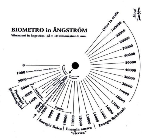 Justin A. Bovis -- Biometer Dow Theory Pattern, Bovis Scale, Frequency Scale, Diatonic Scale Guitar, Diatonic Scale, Life Force, Organic Food, Food Market, Tai Chi