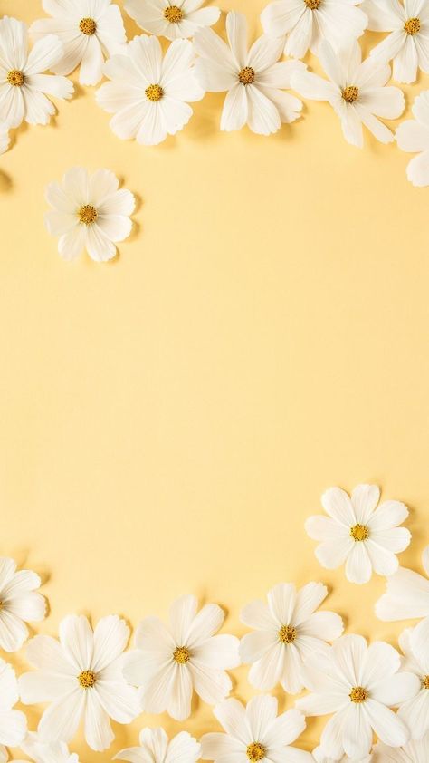 Flower Background Yellow, Spring Lockscreen Iphone Wallpapers, Daisy Flower Wallpaper Aesthetic, Daisy Background Aesthetic, Daisy Flower Aesthetic Wallpaper, Daisy Background Wallpapers, Daisy Wallpaper Aesthetic, Yellow Phone Wallpaper, Yellow Flowers Background