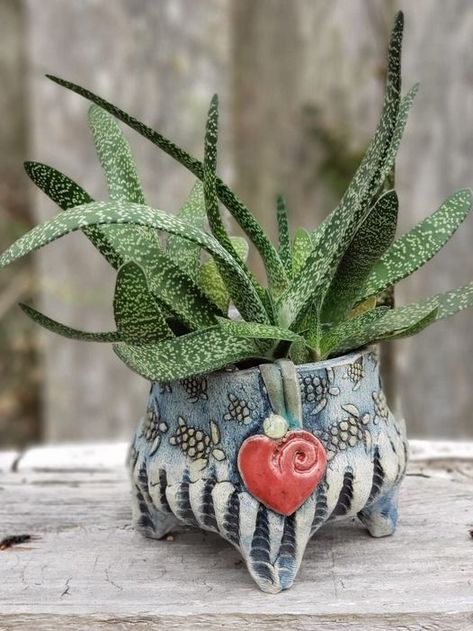 Gasteria in Handmade Ceramic Pot by Becka B Strong in The Succulent Eclectic Community Slab Ceramics Ideas, Succulent Pottery, Pottery Succulent, Garden Ceramics, Plants Vases, Clay Planter, Clay Models, Pottery Decoration, Clay Bowls