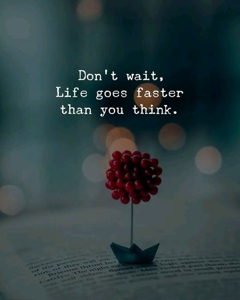 Don't wait, life goes faster than you think life quotes quotes quote life motivation image quotes picture quotes motivation quotes Than You, Outing Quotes, Saving Quotes, Tumblr Image, Quote Life, Social Networking Sites, Facebook Image, Quotes Quotes, Life Motivation