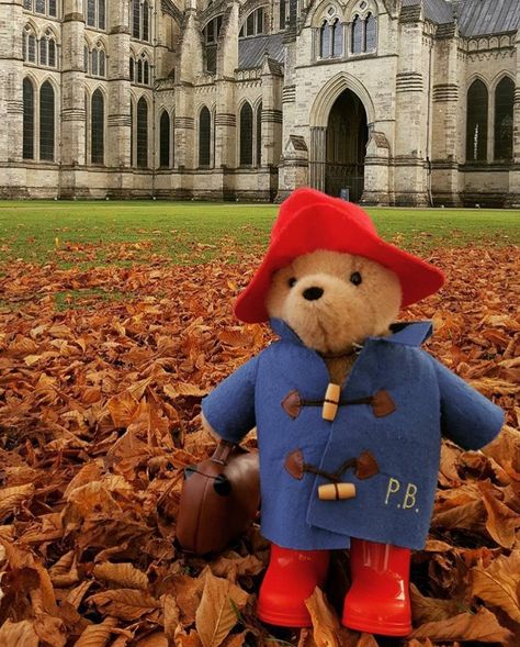 Paddington at Salisbury Cathedral, Wiltshire Paddington Bear Aesthetic, Paddington Wallpaper, Mouse Moment, Oso Paddington, Spectacled Bear, Totoro Plush, Salisbury Cathedral, London Girl, London Dreams