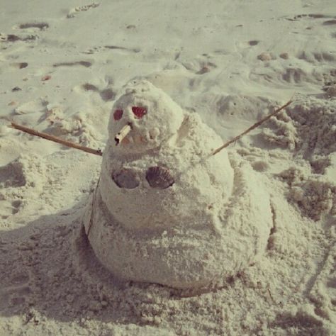 Winter in Florida <3 Christmas In Florida Aesthetic, Florida Winter Aesthetic, Florida Winter, Christmas In Florida, Winter In Florida, Christmas In Australia, Florida Christmas, Beachy Christmas, Summer Reading Lists