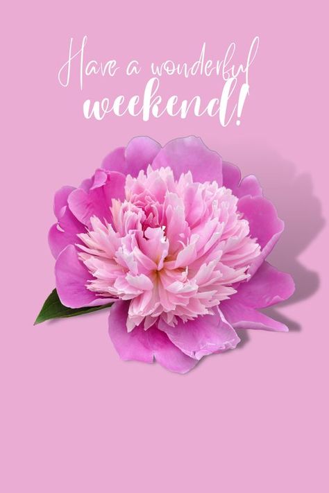 Have A Great Weekend Quotes, Happy Weekend Pictures, Love Good Morning Quotes, Happy New Month, Good Saturday, Have A Wonderful Weekend, Aloha Friday, Weekend Quotes, Today's Quote