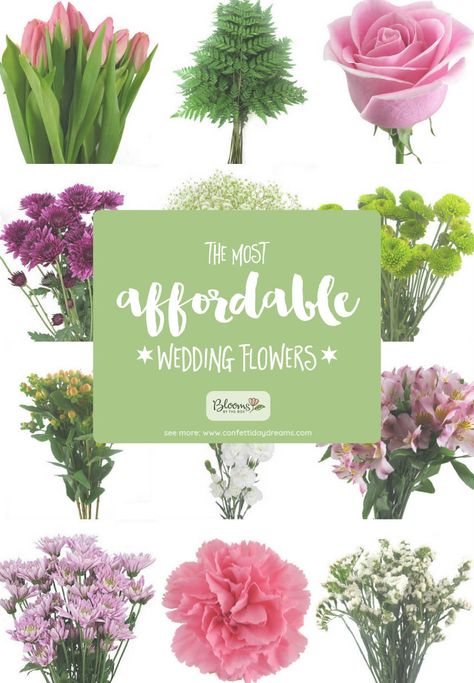 The Most Affordable Types of Wedding Flowers on a Budget via @confettidaydreams Cheap Flower Wedding Ideas, Cheap Fall Wedding Flowers, Cheapest Flowers For Centerpieces, Flowers On A Budget Wedding, Least Expensive Wedding Flowers, Affordable Flower Centerpieces, Wedding Flower Options, Low Budget Wedding Flowers, Cheap Wedding Flowers Budget