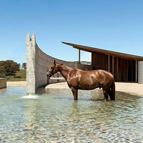 Horse Stables Design, Equestrian Barns, Equestrian Building, Horse Barn Ideas Stables, Horse Barn Designs, Dream Horse Barns, Dream Stables, Horse Barn Plans, Rammed Earth Wall