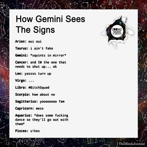 How Gemini Sees The Signs https://themindsjournal.com/how-gemini-sees-the-signs How The Signs See The Signs, Gemini Anime Character, Gemini With Other Signs, Gemini X Gemini, She Is Gemini, Gemini Negative Traits, May Gemini, Gemini Aesthetic, Gemini Pisces