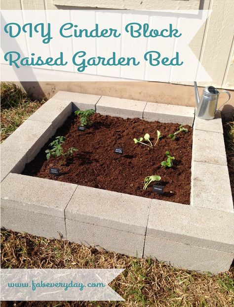 DIY Cinder Block Raised Garden Bed.  Click or visit www.fabeveryday.com for more photos and instructions. Cinder Block Raised Garden Bed, Bed Block, Cinder Block Raised Garden, Cinder Block Garden Bed, Cinder Blocks Diy, Cheap Raised Garden Beds, Wooden Raised Garden Bed, Cinder Block Garden, Building Raised Garden Beds